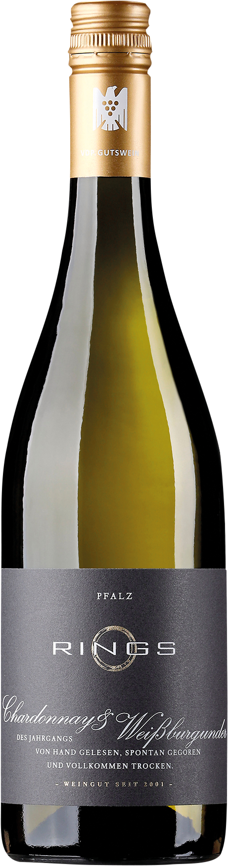 RINGS Chardonnay & Weissburgunder 2024